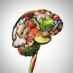 What Foods to Eat for Memory Improvement: A Comprehensive Guide